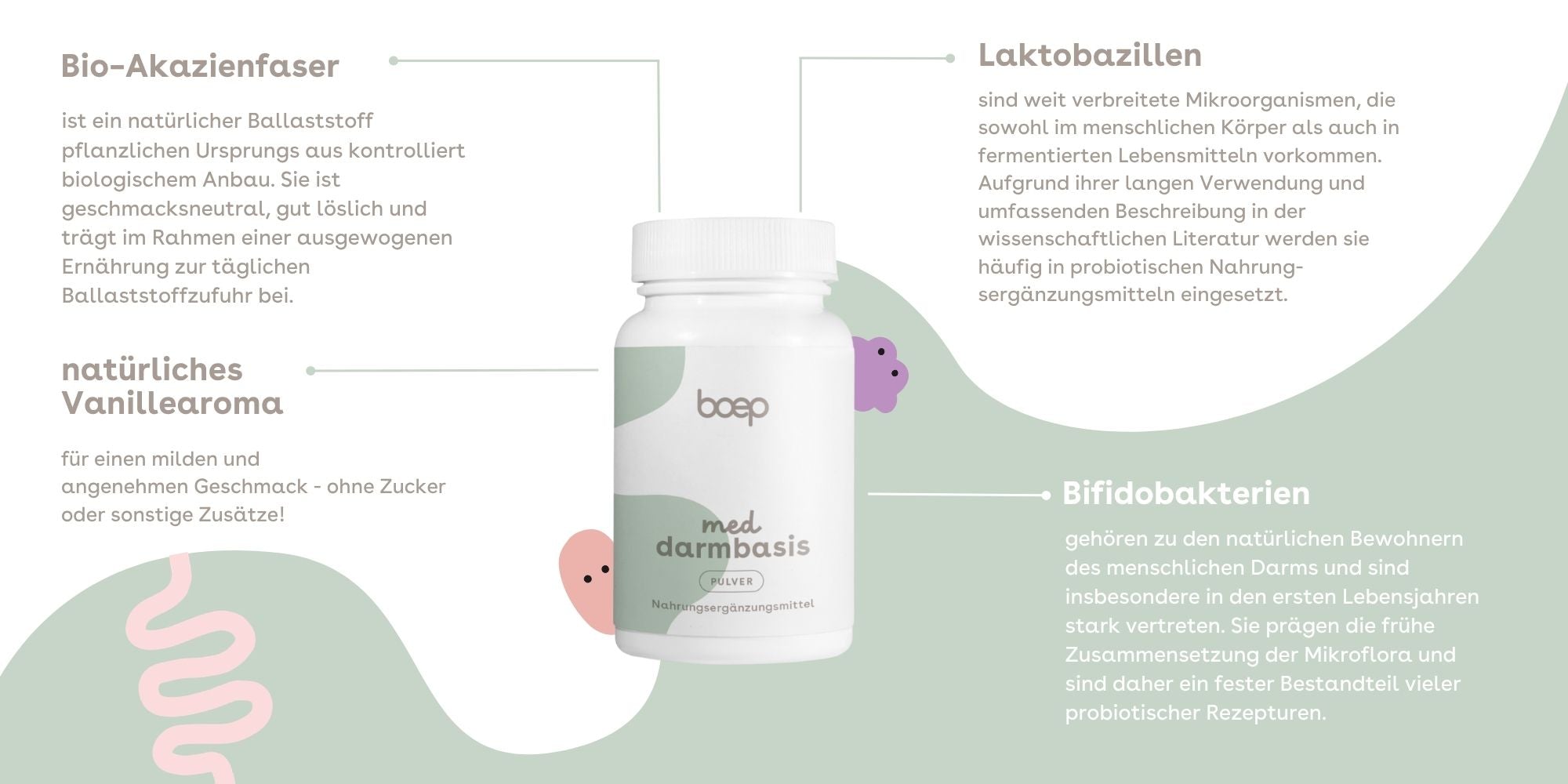 boep Darmbasis Pulver Illustration für die wichtigsten Eigenschaften des Produktes.