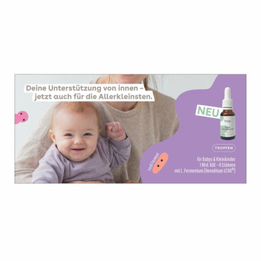Flyer von der Darmbasis von das boep zur Darmkur und bei Baby Bauchschmerzen