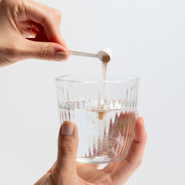 med Darmbasis Pulver 6er Pack