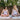 Zwei schwangere Frauen machen Yoga auf dem Balkon im Vordergrund steht eine pflegende Körperbutter und das hautstraffende Körperöl von das boep